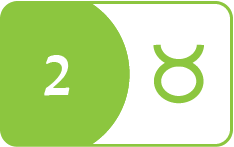 2 Taurus
